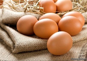 نظارت بر خروج بیش از ۶۰۰ تن تخم مرغ به داخل و خارج از خراسان جنوبی