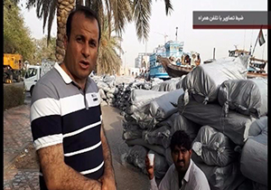 درخشش خبرنگار شیرازی در کشور