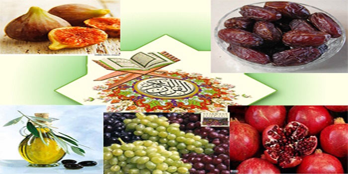 ۵ میوه قرآنی برای درمان همه بیماری&zwnj;ها