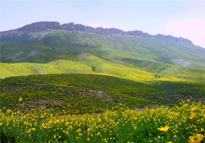 پیش بینی رگبار پراکنده باران در ارتفاعات