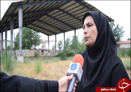 انجیر فرصت اقتصادی برای گلوگاه / انجیر گلوگاه در حسرت صنایع تبدیلی