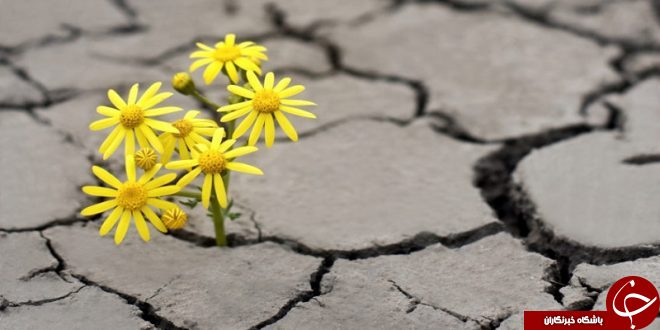 قسمت با اختیار و عقل انسان چه ارتباطی دارد؟!؟ / اگر انسان مسئول اعمال خویش است پس قسمت چه معنایی دارد؟!/ اگر خداوند سرنوشت ما را می نویسد پس تغییر دادن آن در شب قدر یعنی چه؟! / حکایت قسمت در ازدواج