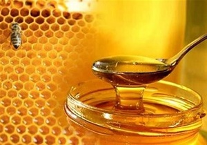 تولید ۸۰ تن عسل در خراسان جنوبی