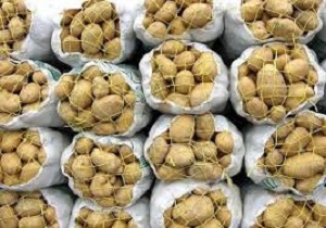 تولید 750  هزار تن سیب‌ زمینی در استان اردبیل