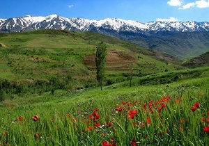 ۱۵ درصد تنوع زیست محیطی لرستان در منطقه گرین