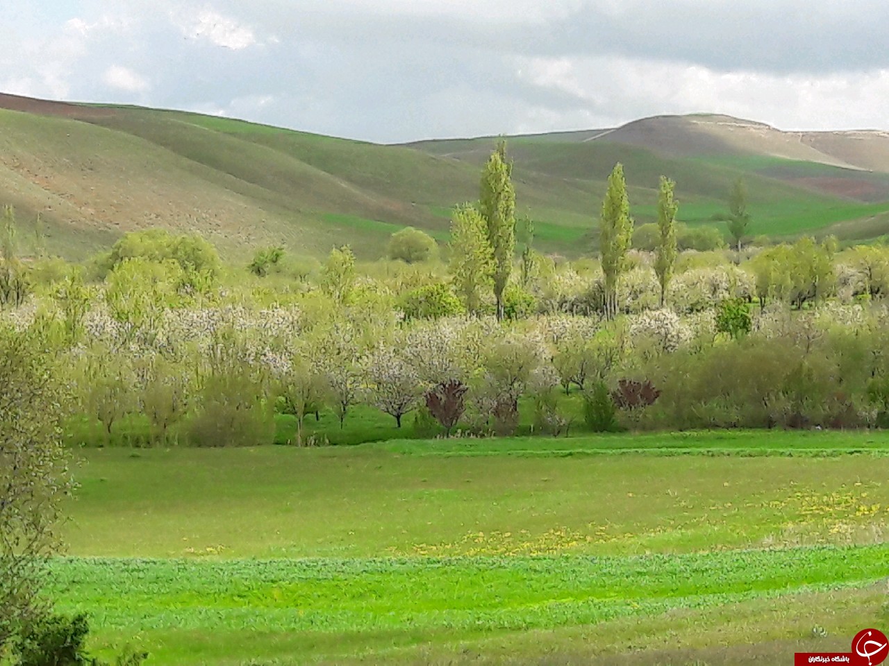 نمایی از طبیعت دیدنی در روستای درین&zwnj;سو + تصاویر