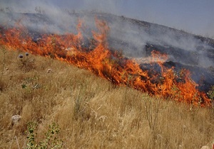 اعلام علت آتش سوزی در مراتع شهرستان قزوین