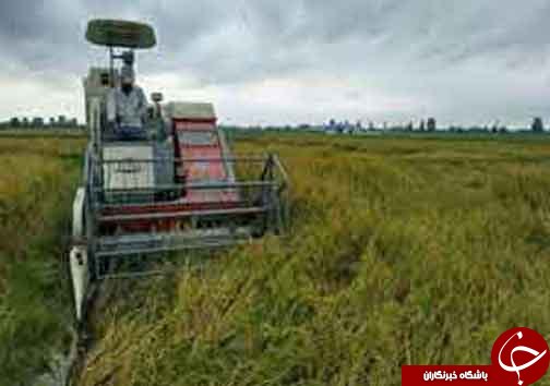 نگاهی گذرا به مهمترین رویداد&zwnj;های شنبه ۱۳ مرداد در مازندران