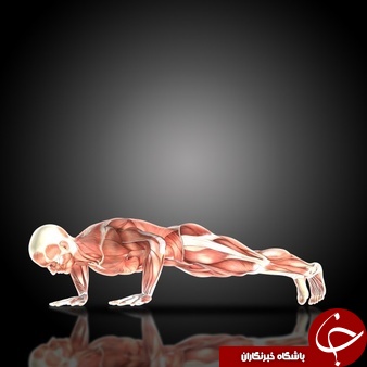 هرآنچه که باید درباره یک حرکت حرفه ای بنام شنا سوئدی بدانید! +فواید و نحوه پیشرفت در آن / حرکتی برای تقویت عضلات بالاتنه / حرکتی کالری می سوزاند اما چربی نه!