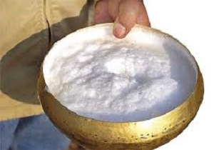 هشدار دامپزشکی خراسان جنوبی در خصوص مصرف خام شیر شتر
