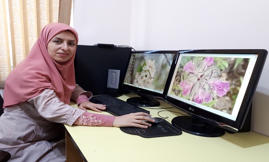 قلم خبرنگار، برمبنای صداقت