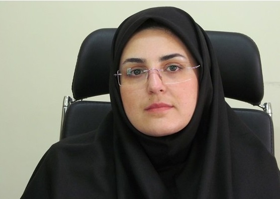 توسعه برنامه&zwnj;های آموزشی ویژه خبرنگاران استان بوشهر