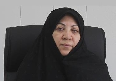 راه&zwnj;اندازی دادگاه ویژه رسانه در استان بوشهر