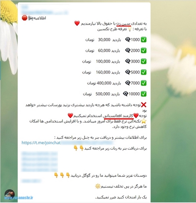 حقوق 5 میلیون تومانی برای یک شغل عجیب در فضای مجازی