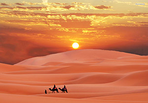 خبر