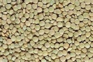 توقیف محموله 9 میلیاردی عدس قاچاق در اصفهان