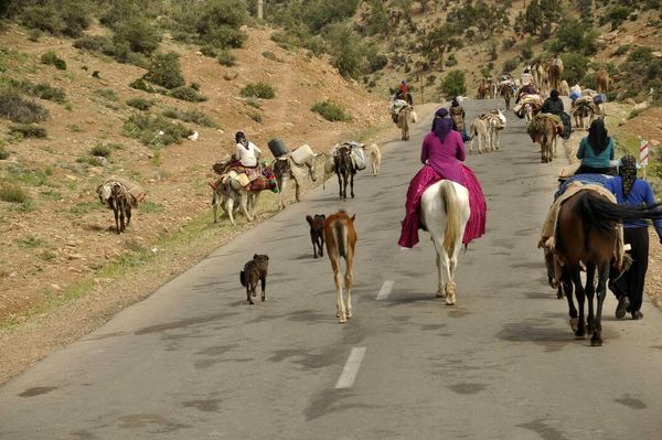 کمک ۲ میلیارد ریالی یک خیر به خانواده عشایر