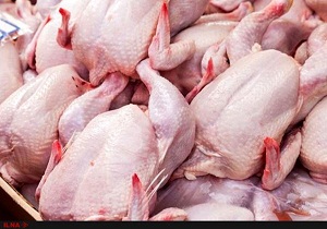آغاز توزیع گوشت مرغ با قیمت هر کیلو ۶۷۵۰ تومان در کرمانشاه