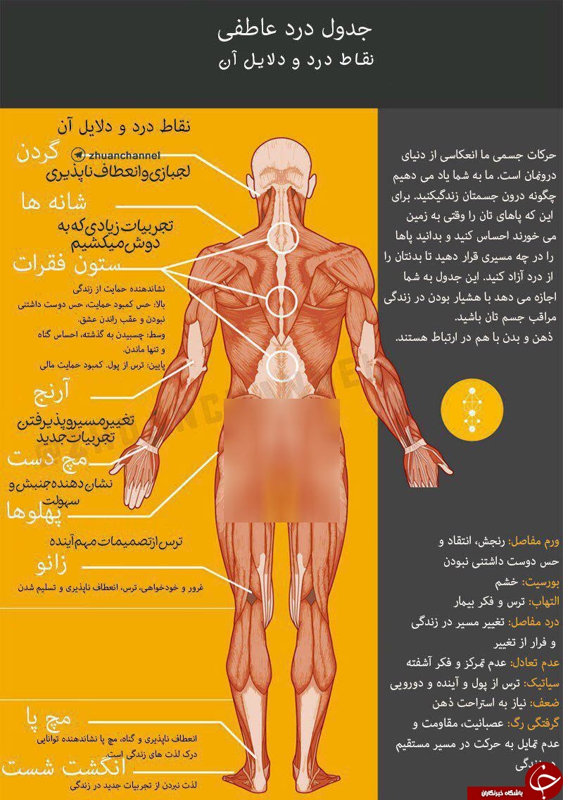 نقاط دردهای عاطفی را در بدن خود ببینید+عکس