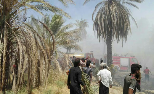 آتش سوزی گسترده در نخلستان های شهداد/ محله به محله شهر در حال تخلیه است/ درخواست کمک از شهرهای همجوار برای مهار حریق/ آتش مهار شد آتش سوزی گسترده در نخلستان های شهداد/ محله به محله شهر در حال تخلیه است/ درخواست کمک از شهرهای همجوار برای مهار حریق/ آتش مهار شد