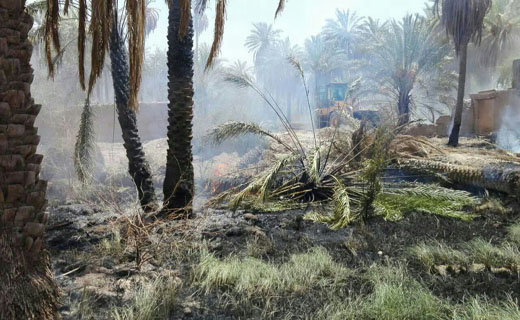 آتش سوزی گسترده در نخلستان های شهداد/ محله به محله شهر در حال تخلیه است/ درخواست کمک از شهرهای همجوار برای مهار حریق/ آتش مهار شد آتش سوزی گسترده در نخلستان های شهداد/ محله به محله شهر در حال تخلیه است/ درخواست کمک از شهرهای همجوار برای مهار حریق/ آتش مهار شد