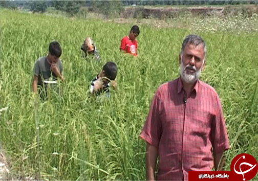 یک روز تابستانی با بچه&zwnj;های کار
