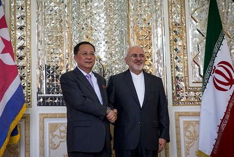 وزیر خارجه کره شمالی با ظریف دیدار کرد