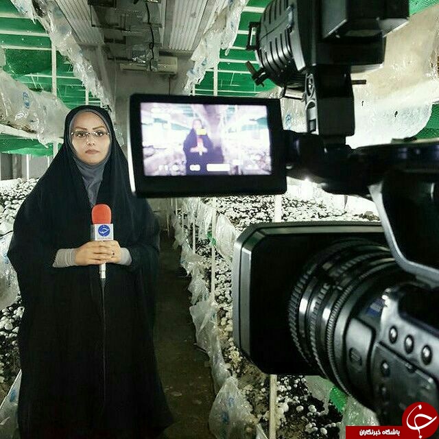 من یک خبرنگارم، زبان گویای مردم من یک خبرنگارم، زبان گویای مردم