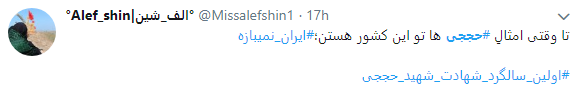 کاربران به مناسبت اولین سالگرد شهادت محسن حججی از او نوشتند+تصاویر