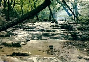 رودخانه زیبای "آق‌سو" در دل جنگل‌های گلستان + فیلم