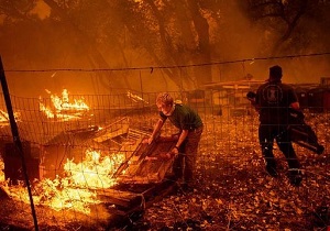 توئیت&zwnj;های بی&zwnj;اساس ترامپ درباره آتش سوزی کالیفرنیا مقامات کاخ سفید را وادار به سکوت کرد