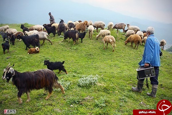 «نیوزلندِ ایران» را بشناسید +تصاویر «نیوزلندِ ایران» را بشناسید +تصاویر