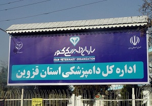 آمادگی دامپزشکی قزوین برای تایید سلامت دام‌ها در روز عید قربان