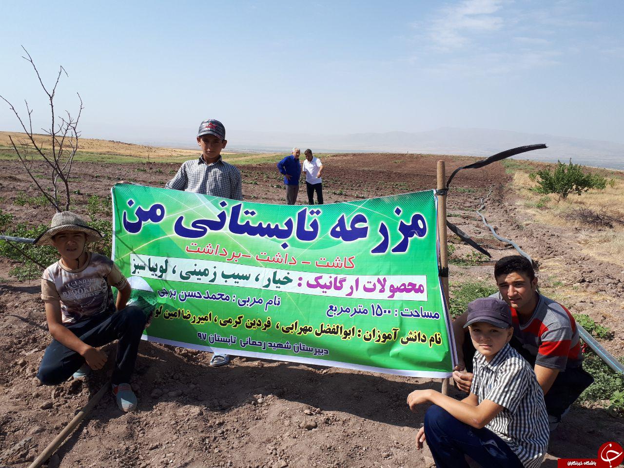 کاشت مرزعه تابستانی دانش&zwnj;آموزان در &laquo;قارلوق&raquo; + فیلم و تصاویر