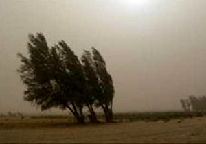 گلزار شهید سرلشکر ‌ناصری ‌در بیرجند غبار‌روبی می‌شود