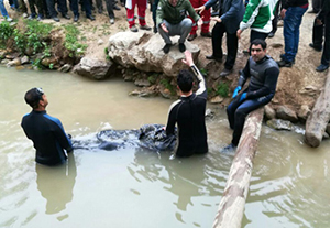 پیدا شدن جسد جوان غرق شده پس از ۶ روز در گلستان