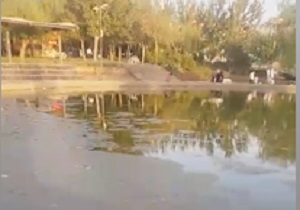 بی‌توجهی به وضعیت بهداشت حوضچه پارک نبوت + فیلم