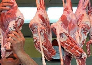 کشتار غیر مجاز و تعطیلی قصابی در اصفهان