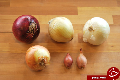 آیا میدانید؛ دعوای درد کدام بیماری ها پیاز است؟!/ خواص دارویی یک گیاه بدبو/ از خواص پیاز برای لاغری چه میدانید؟