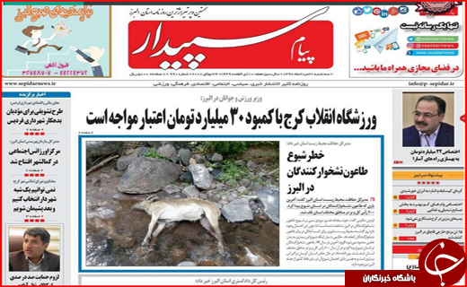 از روزهای بنگاه گردی مستاجران تا حمایت از بخش خصوصی در حوزه ورزش از روزهای بنگاه گردی مستاجران تا حمایت از بخش خصوصی در حوزه ورزش