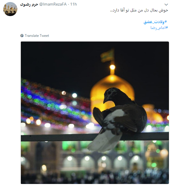 تبریک مجازی میلاد امام رضا(ع)+ تصاویر