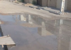 جاری شدن آب شرب در خیابان&zwnj;های مسکن مهر امیدیه + فیلم