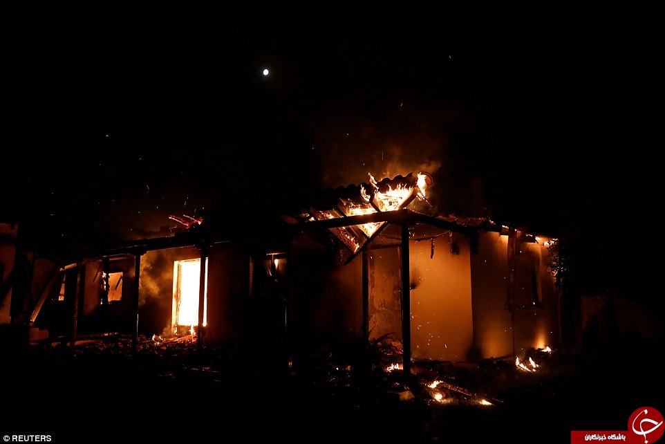 دست کم 50 کشته در آتش سوزی جنگل های یونان+ تصایور دست کم 50 کشته در آتش سوزی جنگل های یونان+ تصایور