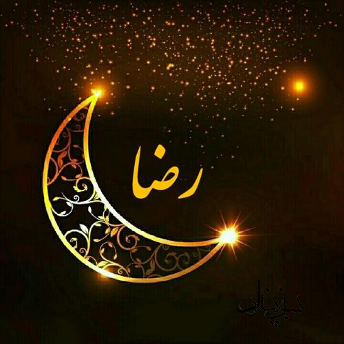 نامگذاری بیش از ۶۰ هزار هرمزگانی به اسم و کنیه امام رضا (ع)
