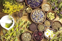 بهترین مسکن های طبیعی را بشناسید+اینفوگرافی
