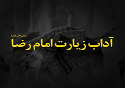 نماهنگ مهر رضا (ع)