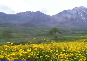طبیعت زیبای دامنه کوه پریشان + فیلم