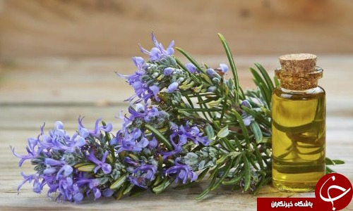 درمان تبخال با ساده ترین و سریع ترین روش های ممکن
