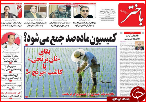 از رشته هایی که پنبه می شوند تا قیمت پروازها اوج گرفت