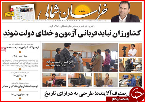 از رشته هایی که پنبه می شوند تا قیمت پروازها اوج گرفت